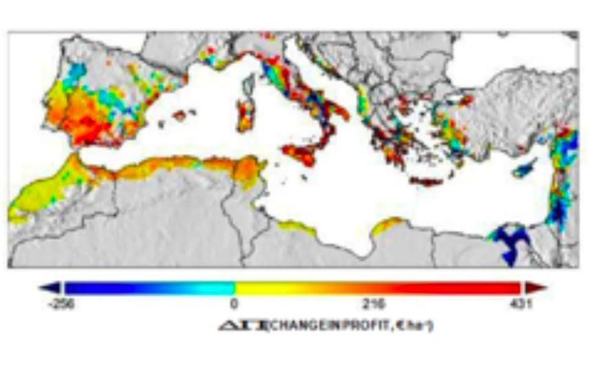 Analisi bio-economica dell'impatto dei cambiamenti climatici su ulivo e vite