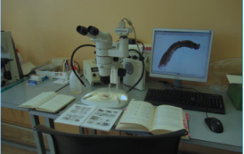 Laboratorio di biologia ambientale per la caratterizzazione di comunità animali e vegetali