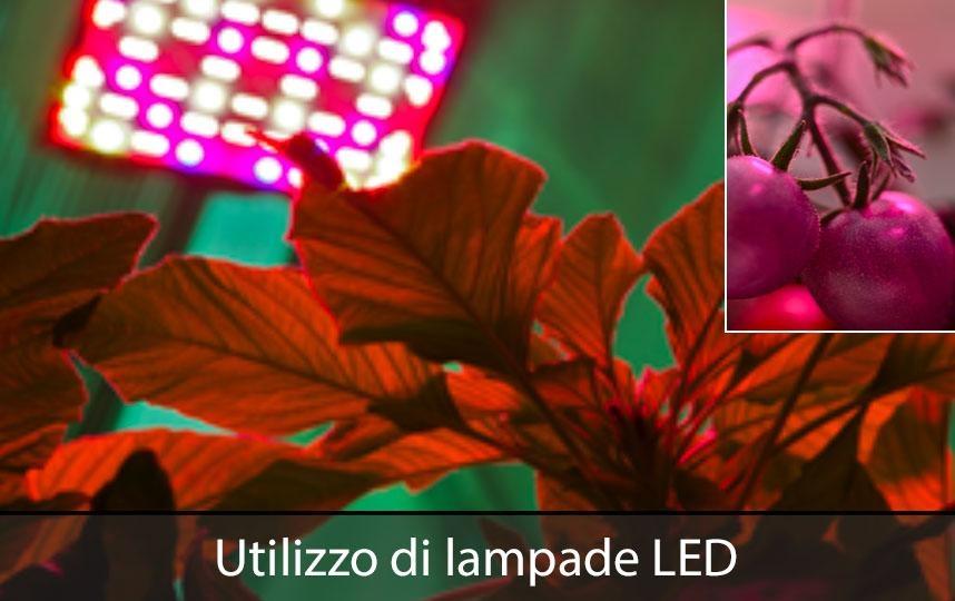 Strutture a contenimento per coltivazione di piante in condizioni idroponiche e con sorgenti di luce LED multispettrale 