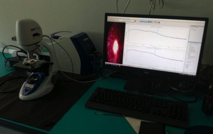 Spettroscopia RAMAN per misure e controlli non distruttivi in campo diagnostico