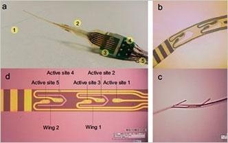 Salute: nuove prospettive di cura del diabete con mini elettrodi 3D