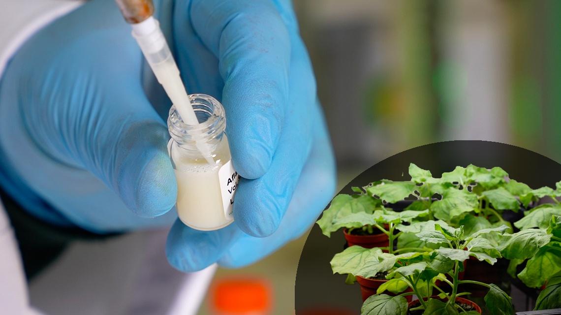 Alimentazione: salute, ENEA realizza kit per rintracciare sostanze tossiche nel latte