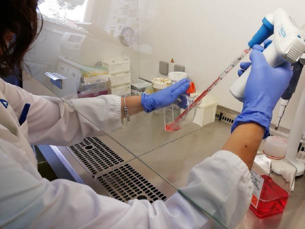 Laboratorio