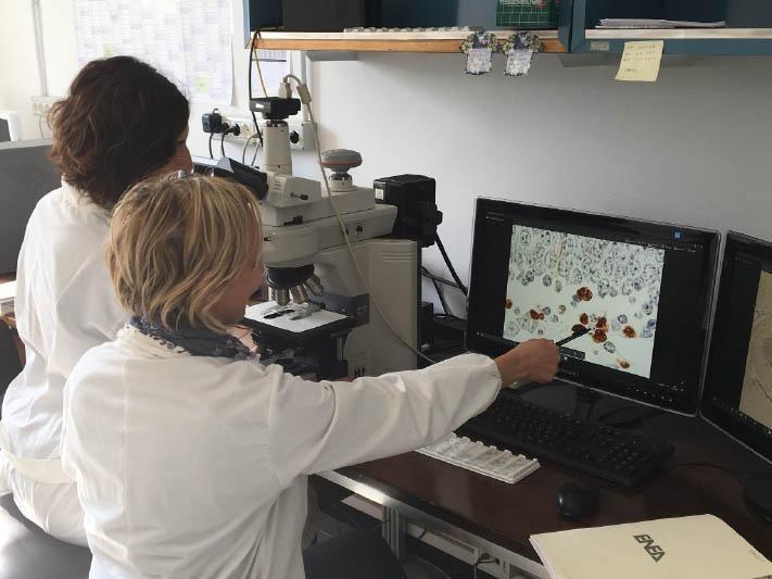 Laboratorio