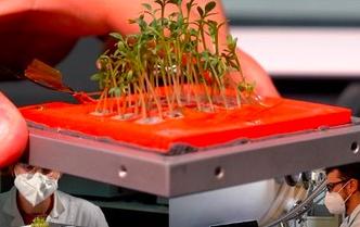 Greencube
