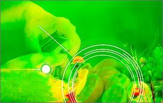 Sensore di precisione per diabete