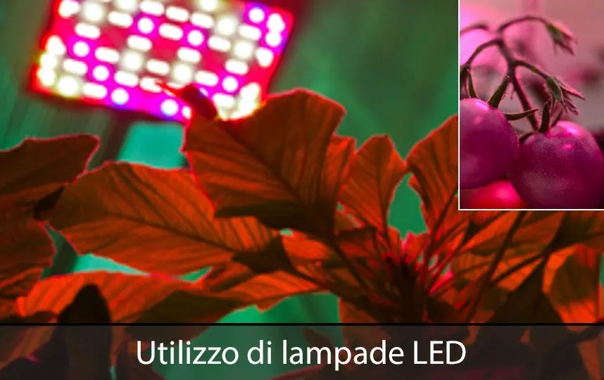 Strutture a contenimento per coltivazione di piante in condizioni idroponiche e con sorgenti di luce LED multispettrale 