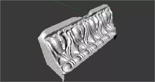 Ricostruzione 3D fotogrammetrica del kimalesbio trilobato