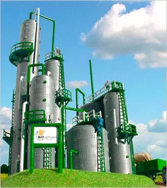 Biomasse per l'energia e chimica verde