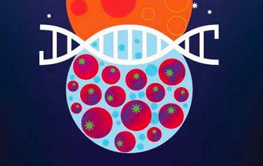 PROGETTO BIOXTREME