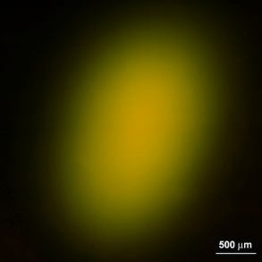 Rivelatori di radiazione luminescenti a film sottile di fluoruro di litio 